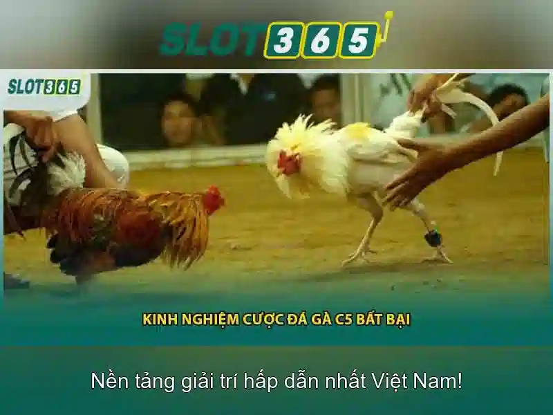 Ưu đãi, giải thưởng và bảo mật tại Slot365