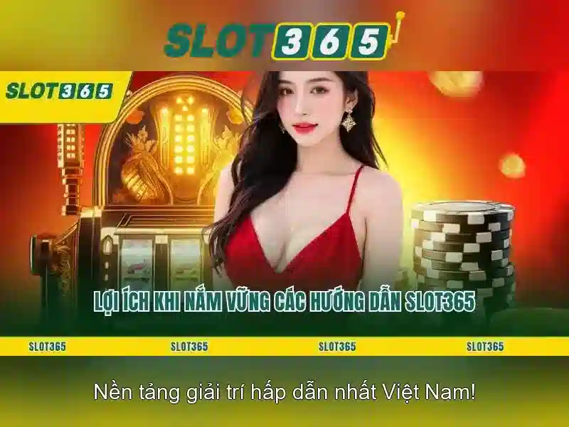 Slot365 - Tổng quan về nền tảng đánh bạc trực tuyến