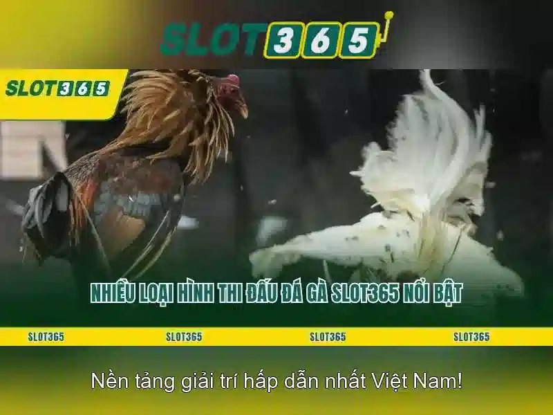 Slot365 là gì và tại sao được nhiều người yêu thích