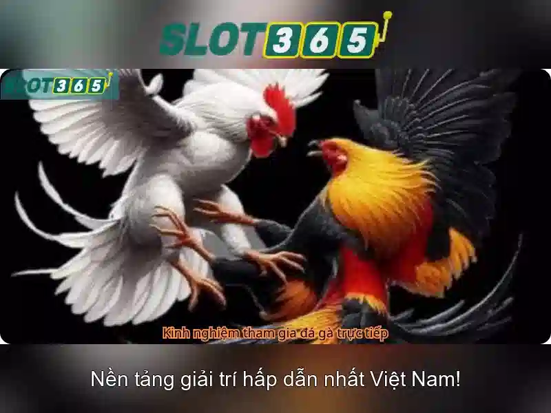 Bao-mat-va-thanh-toan-slot365
