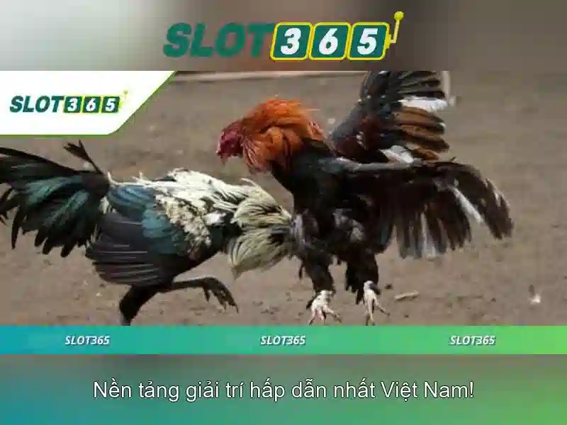 An toàn và thanh toán tại Slot365
