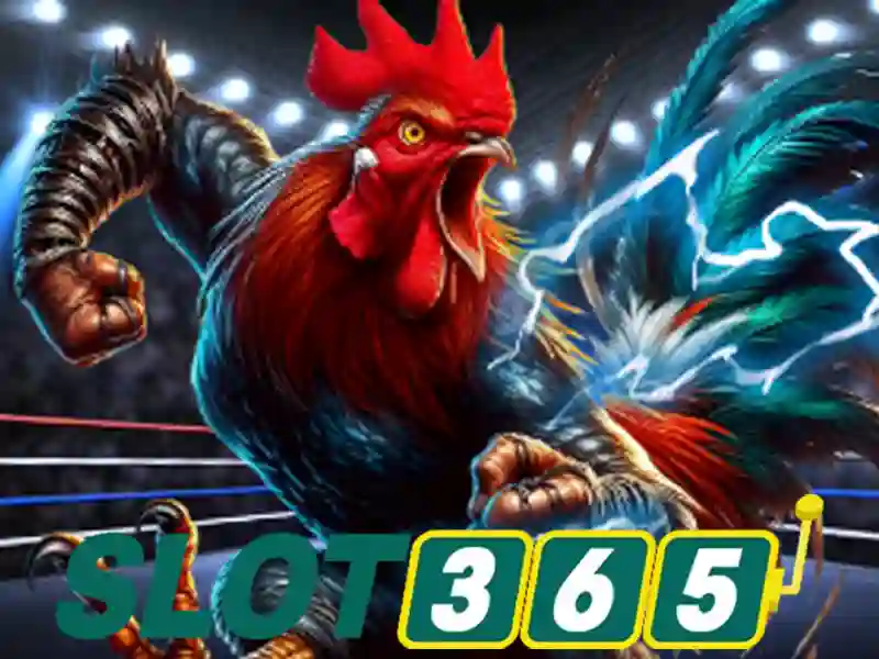 Slot365: Khám phá nền tảng slot trực tuyến