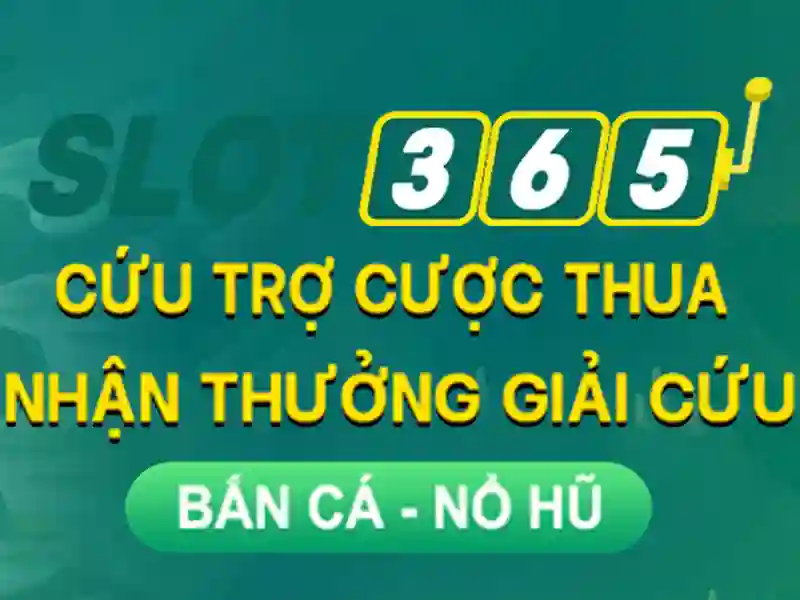 Khuyến mãi và chương trình VIP