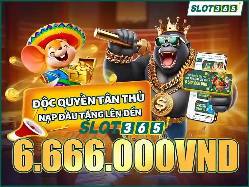 Slot365: Nền tảng trò chơi khe cắm trực tuyến